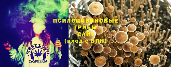 первитин Богородицк
