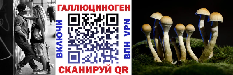 Псилоцибиновые грибы мухоморы  мега ССЫЛКА  Волчанск 